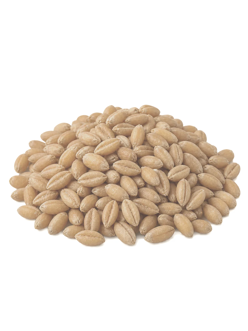 Пшеница фуражная
